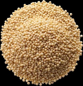 Quinoa